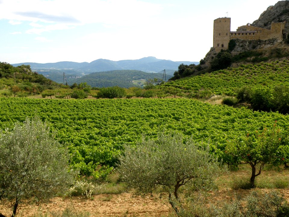 Mérindol-les-Oliviers Vieux Village 23