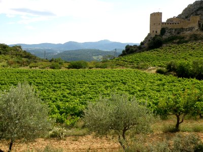 Mérindol-les-Oliviers Vieux Village 23
