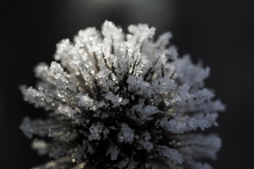 Eiskristalle nature ice pattern