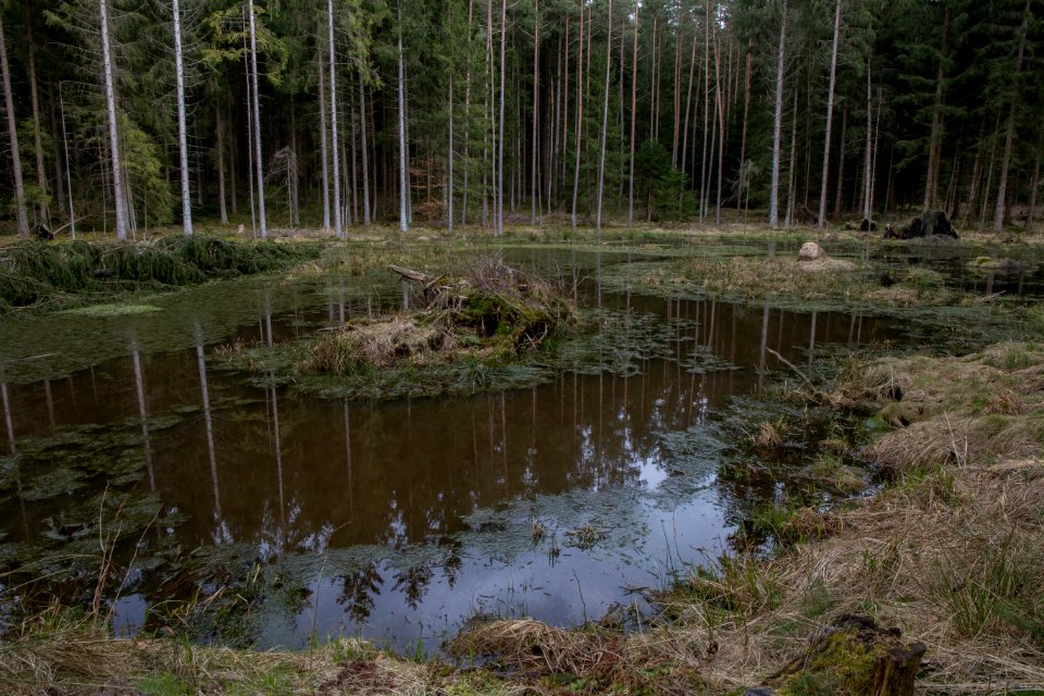 Mühlbühl-Ponor 14