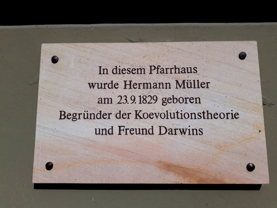 Mühlberg Thüringen - 6