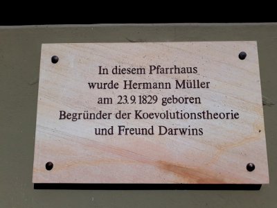 Mühlberg Thüringen - 6