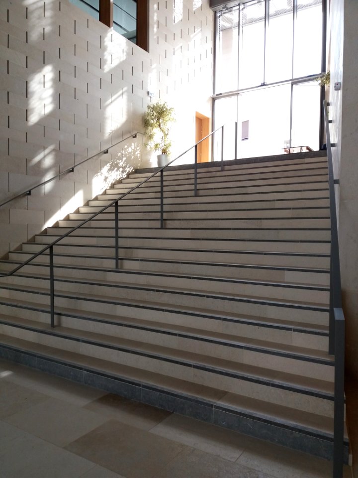 Lyon 8e - Institut français de civilisation musulmane - Escalier