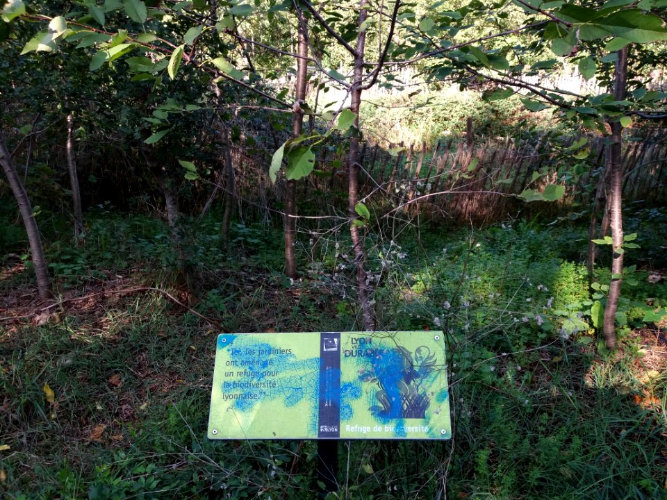 Lyon 8e - Route de Vienne - Parc du Clos Layat, refuge de biodiversité