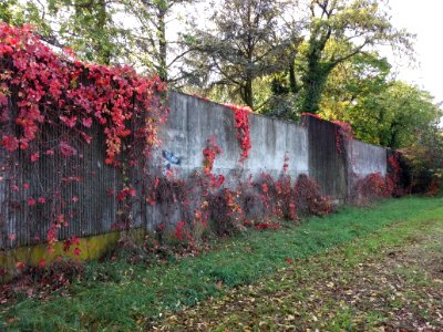 Lyon 8e - Route de Vienne - Parc du Clos Layat, mur de l'hôpital (2)