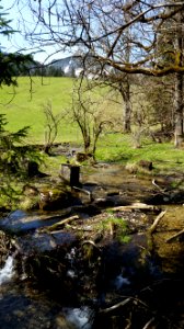 Mühlbach (Kiefersfelden) (02)