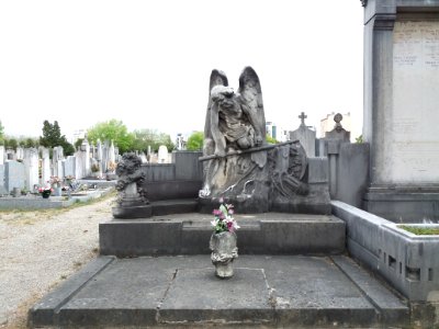 Lyon 8e - Nouveau cimetière de la Guillotière - Allée 1 - Ange agé