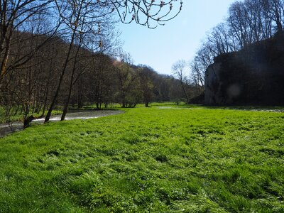 Bach idyllic meadow