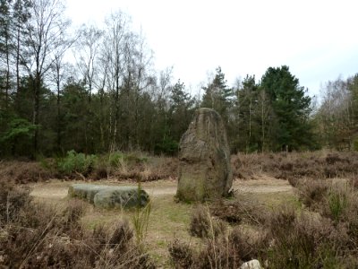 Maasmechelen-Menhir Mechelse Heide (5)