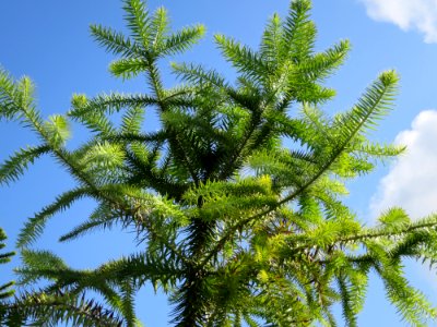 München Botanischer Garten 2
