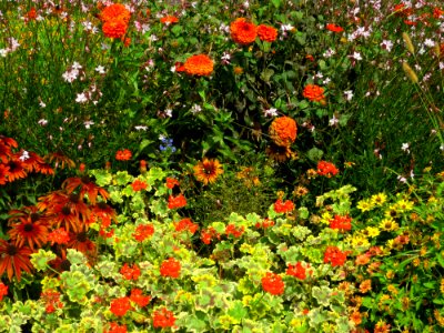 München Botanischer Garten 1