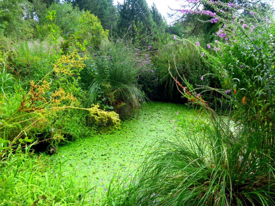 München Botanischer Garten 4