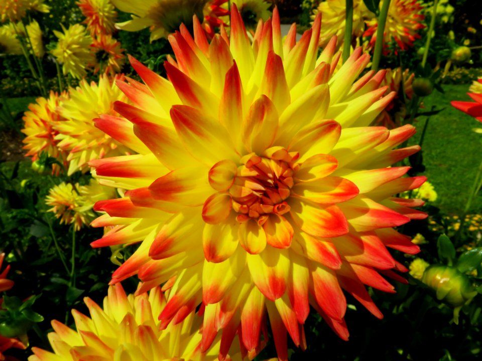 München Botanischer Garten 9