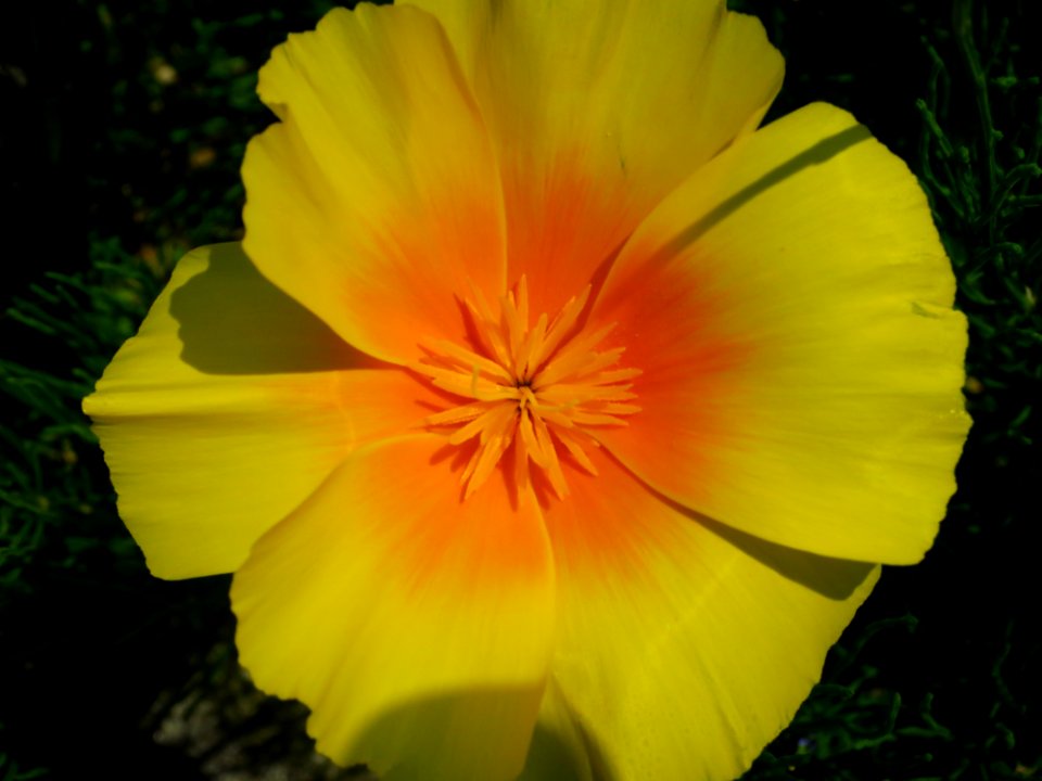 München Botanischer Garten 10