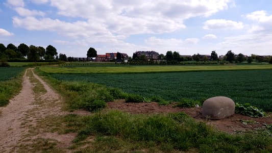 Maastricht-Vroenhoven-Grenspaal 81a (BE-NL) (2)