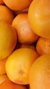 Lean citrus orange photo