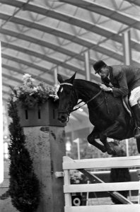 Maathuis tijdens sprong op paard Fliegette, Bestanddeelnr 918-3579