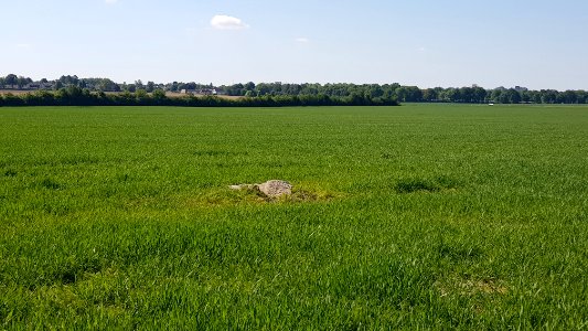 Maastricht-Smeermaas-Grenspaal 98a (BE-NL) (2)