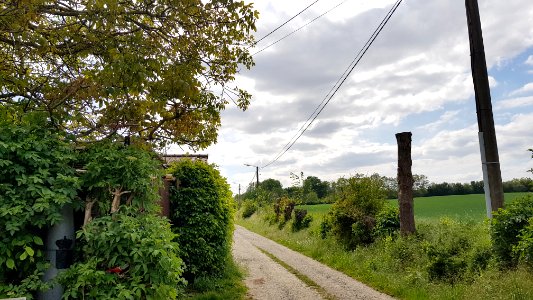 Maastricht-Vroenhoven-Grenspaal 77 (BE-NL) (5)