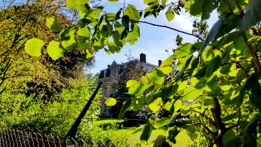 Maastricht-Villa Canne (6)