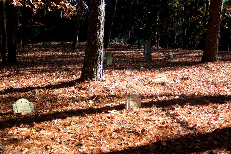 Macedonia African Methodist Church Cemetery, Johns Creek, GA Nov 2017 2