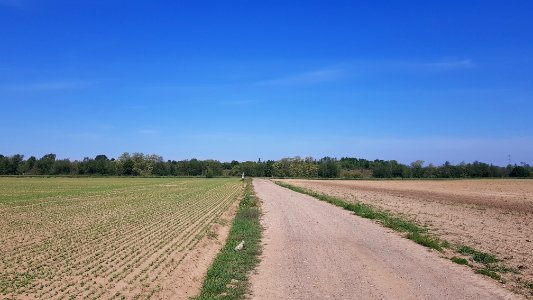 Maastricht-Smeermaas-Grenspaal 96 (BE-NL) (2)