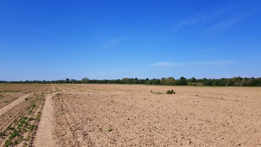 Maastricht-Smeermaas-Grenspaal 96a (BE-NL) (9)