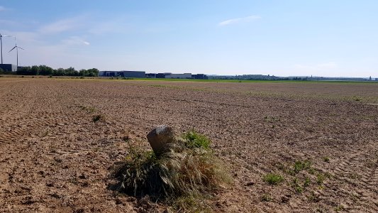 Maastricht-Smeermaas-Grenspaal 96a (BE-NL) (6)