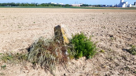 Maastricht-Smeermaas-Grenspaal 96a (BE-NL) (7)