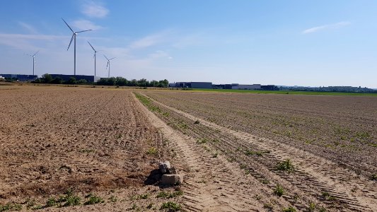 Maastricht-Smeermaas-Grenspaal 96b (BE-NL) (12)