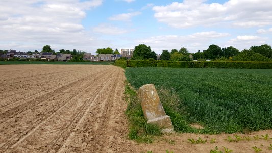 Maastricht-Veldwezelt-Grenspaal 82a (BE-NL) (3)