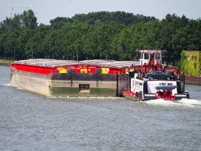 Maashees - ENI 02333953, Maasdam - ENI 02333718 & Phoenix - ENI 02315403, Amsterdam-Rijn kanaal, pic5