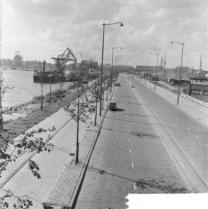 Maas Boulevard te Rotterdam, Bestanddeelnr 915-5170