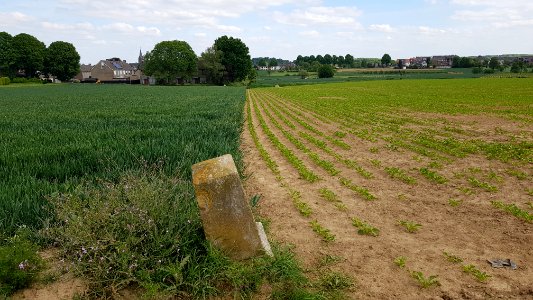 Maastricht-Veldwezelt-Grenspaal 82a (BE-NL) (4)