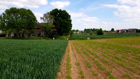 Maastricht-Veldwezelt-Grenspaal 82 (BE-NL) (7)