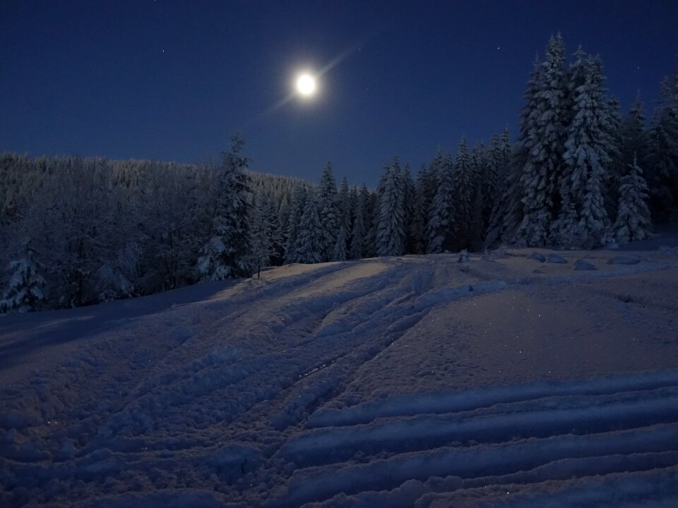 Snow christmas tree night view