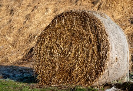 Agriculture hay harvest