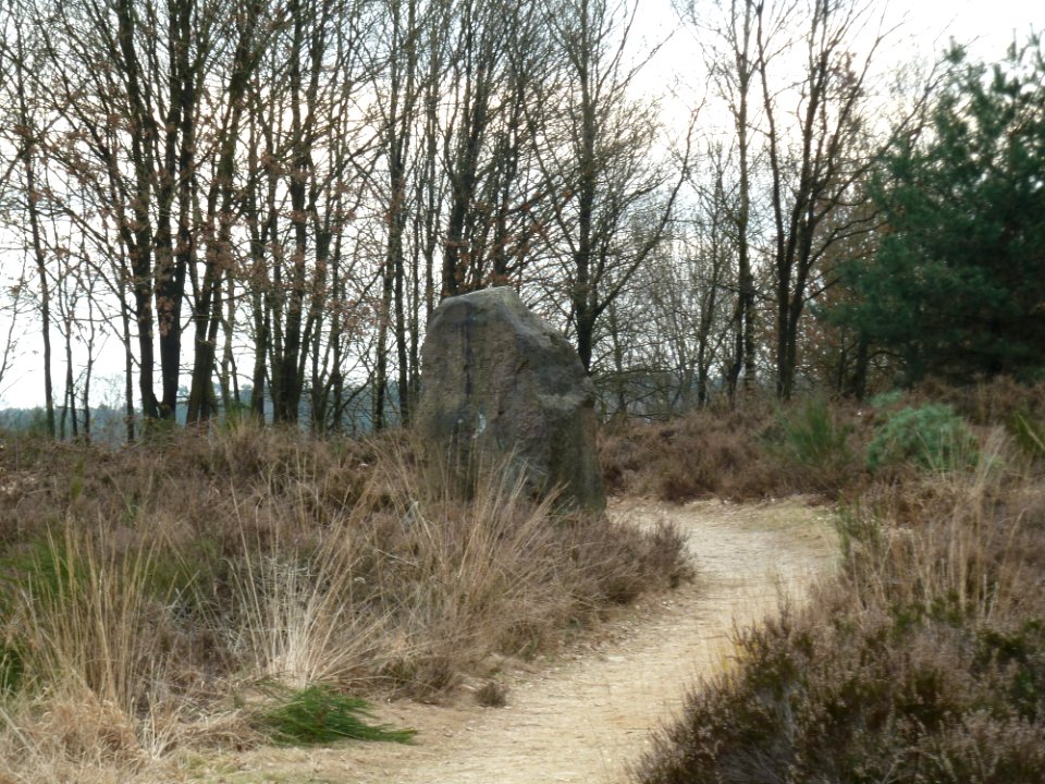 Maasmechelen-Menhir Mechelse Heide (1)