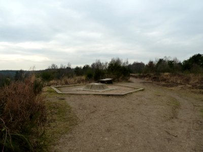 Maasmechelen-hoogtepunt Mechelse Heide