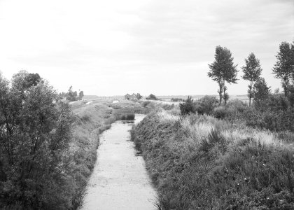 Maasbommel, genomen vanaf maasdijk bij de schans, Bestanddeelnr 159-0864