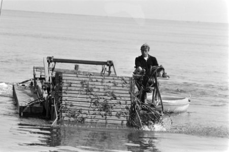 Maaien van waterplanten op de Gouwzee bij Monnickendam, Bestanddeelnr 933-6738