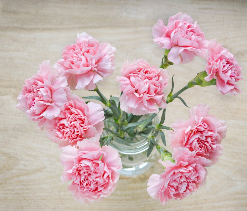 Pink vase cut flowers