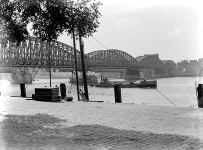Maasbruggen in Rotterdam, Bestanddeelnr 189-0493