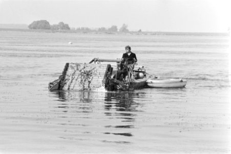 Maaien van waterplanten op de Gouwzee bij Monnickendam, Bestanddeelnr 933-6737
