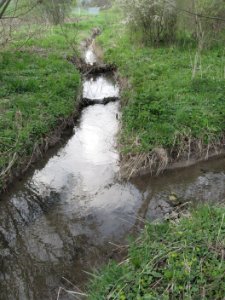 Mündung des Schenkenbachs in den Nesselbach