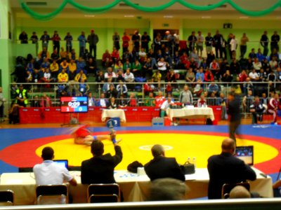 MŚ Weteranów w zapasach, Racibórz 2011 (13)