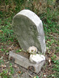 M. Miller tombstone, West Liberty Cemetery, 2020-09-25