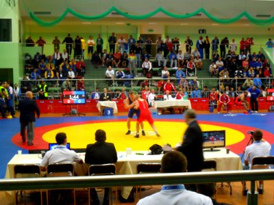MŚ Weteranów w zapasach, Racibórz 2011 (4)
