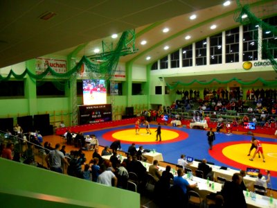 MŚ Weteranów w zapasach, Racibórz 2011 (16)
