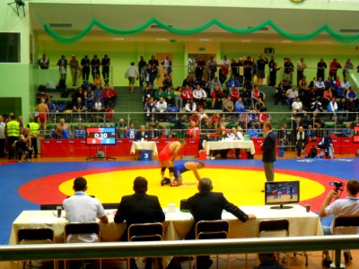 MŚ Weteranów w zapasach, Racibórz 2011 (3)